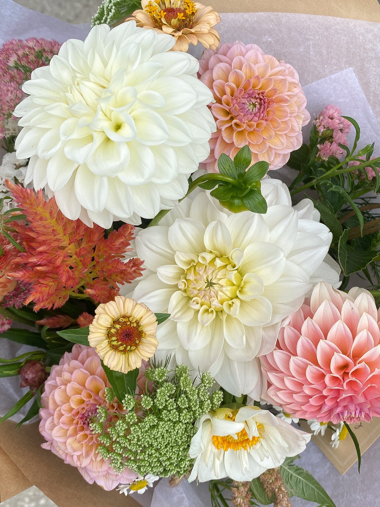 Fresh Flowers