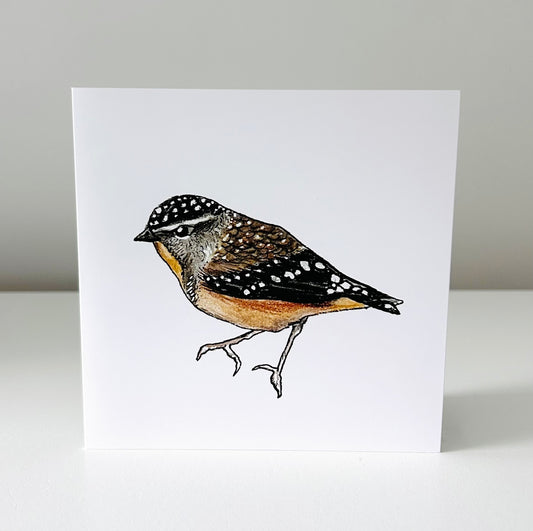 Art Card - Forty Spotted Pardalote
