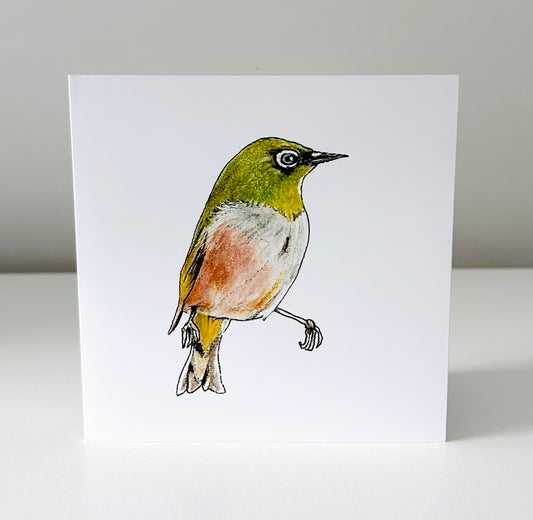 Art Card - Silvereye