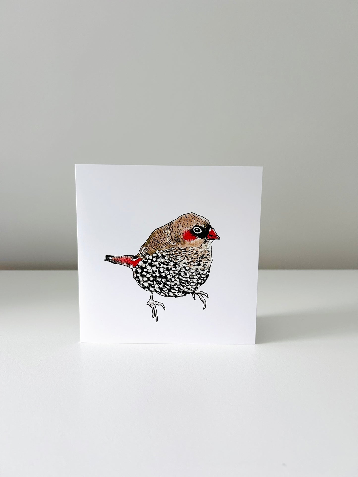 Art Card - Red-eared Firetail Finch