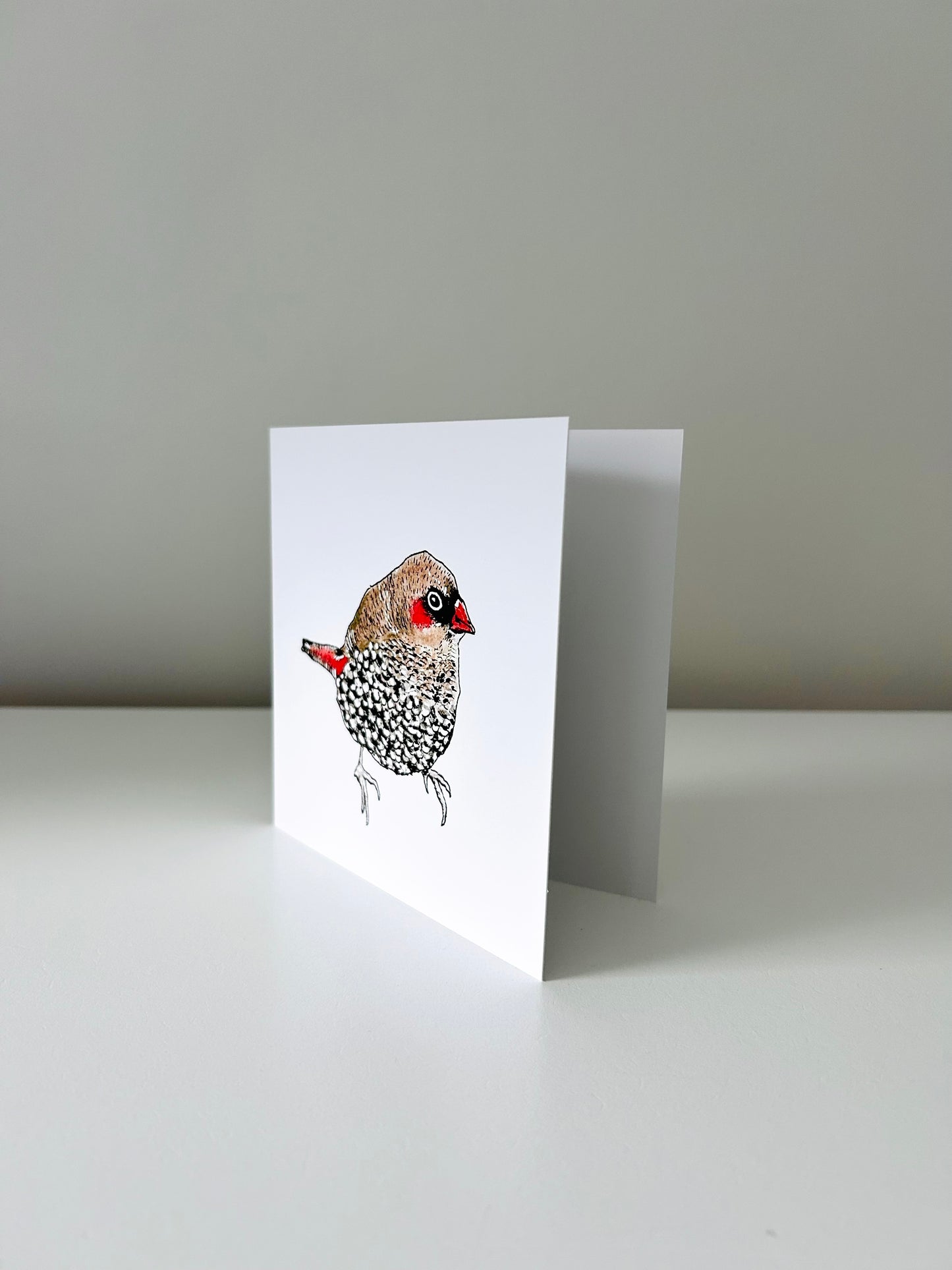 Art Card - Red-eared Firetail Finch