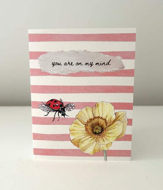 Greeting Card - Icelandic Poppy & Ladybird