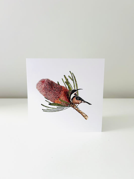 Art Card - Banksia & Eastern Spinebill