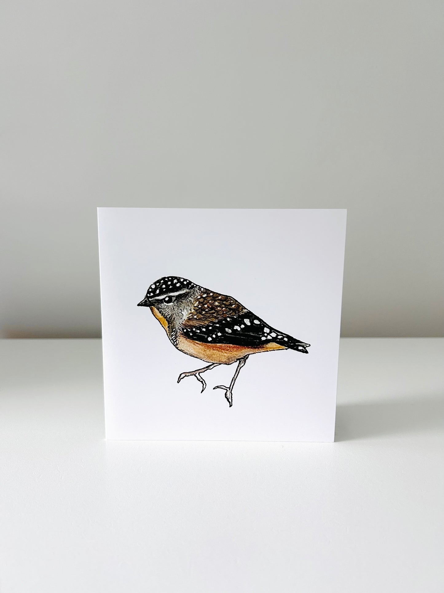 Art Card - Forty Spotted Pardalote