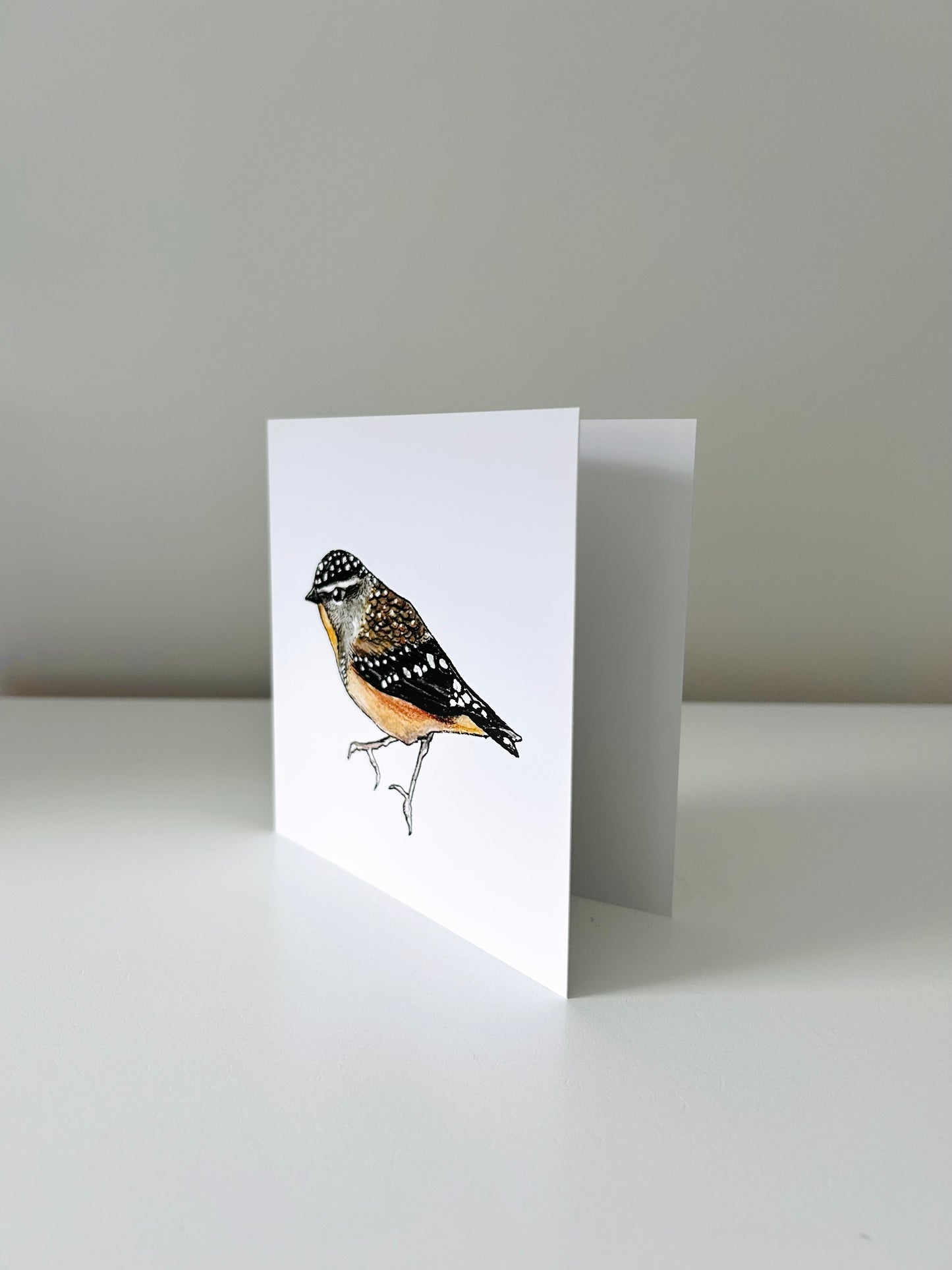 Art Card - Forty Spotted Pardalote