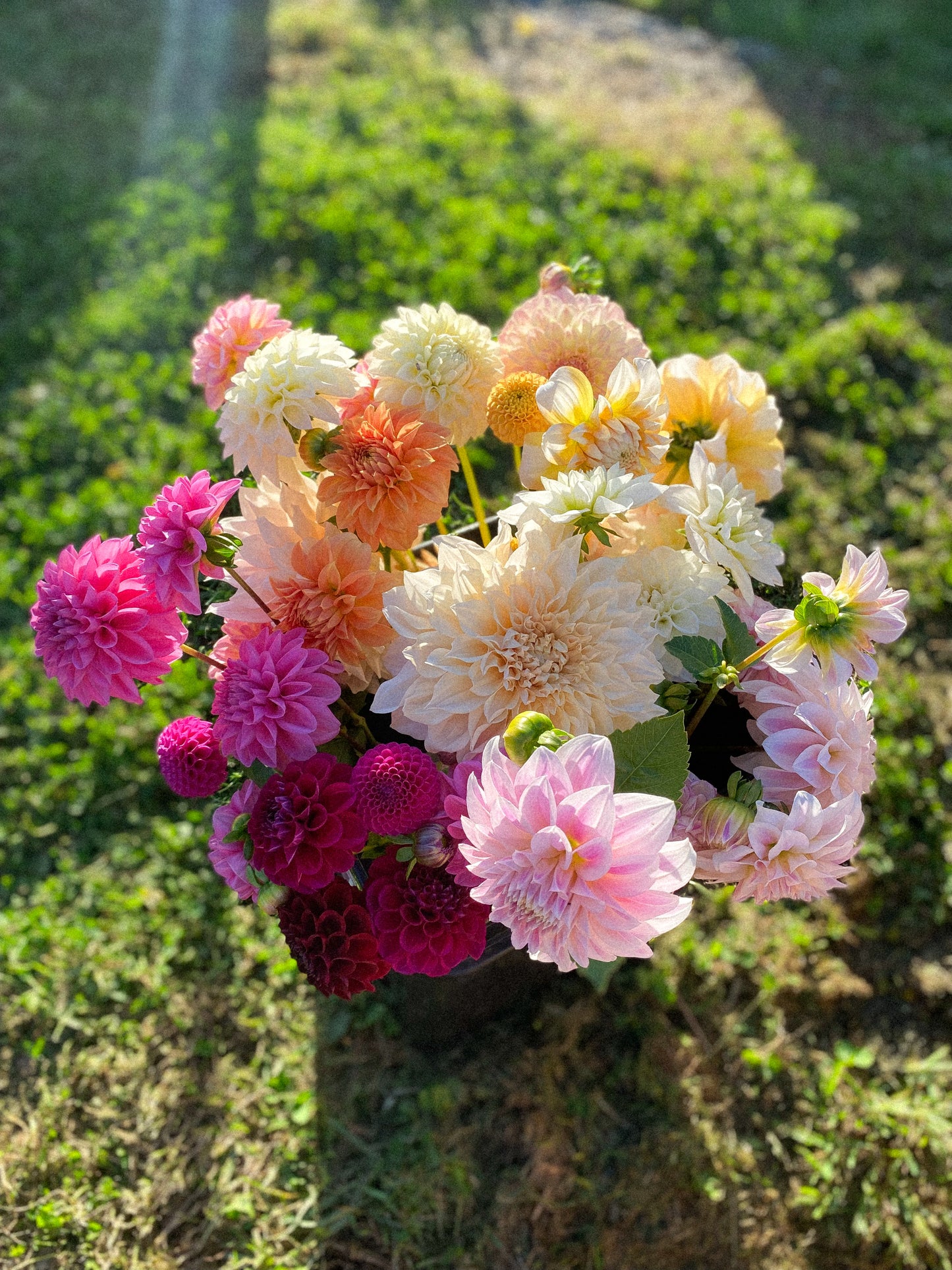 DIY mixed buckets