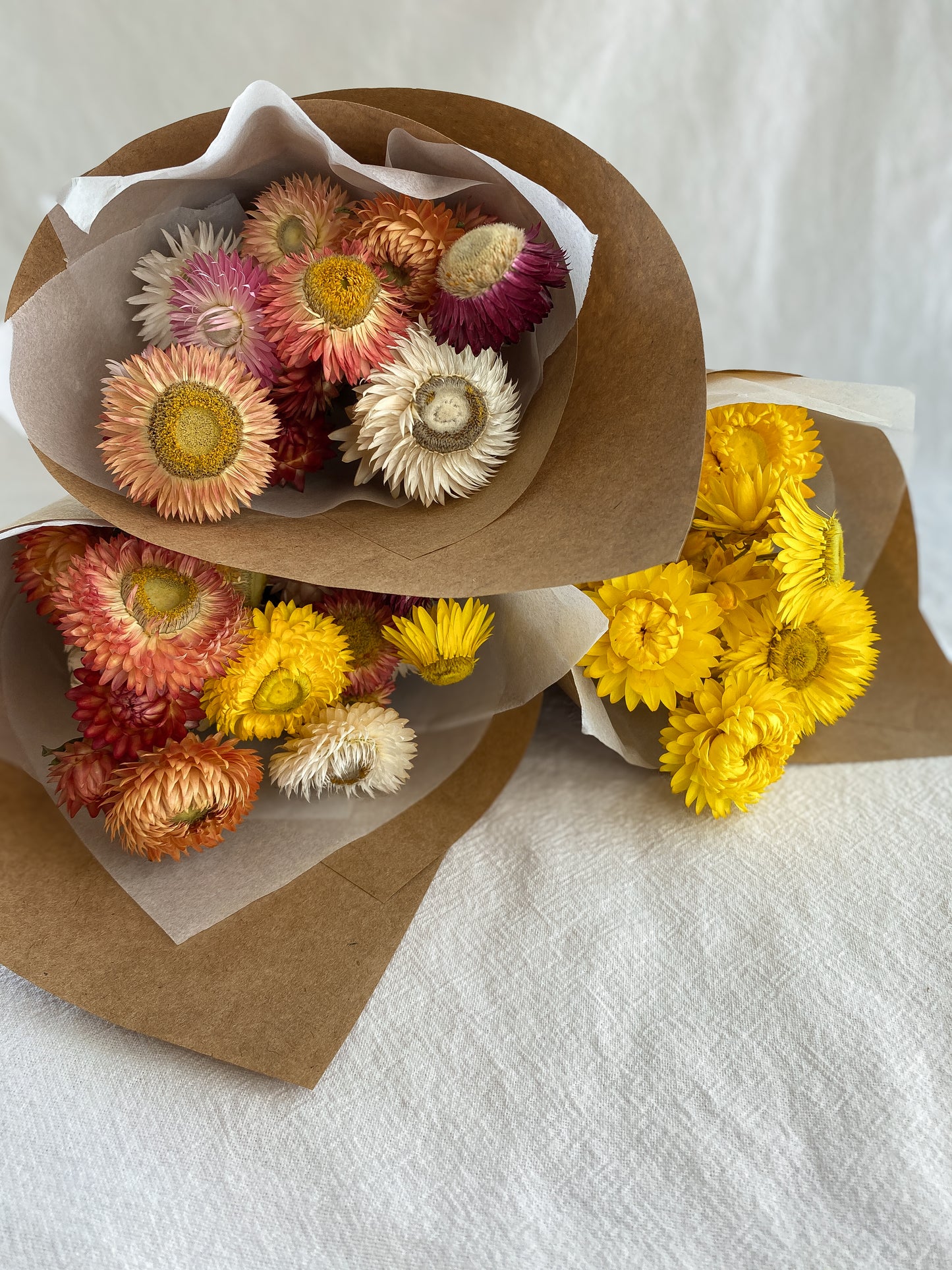 Dried Strawflowers