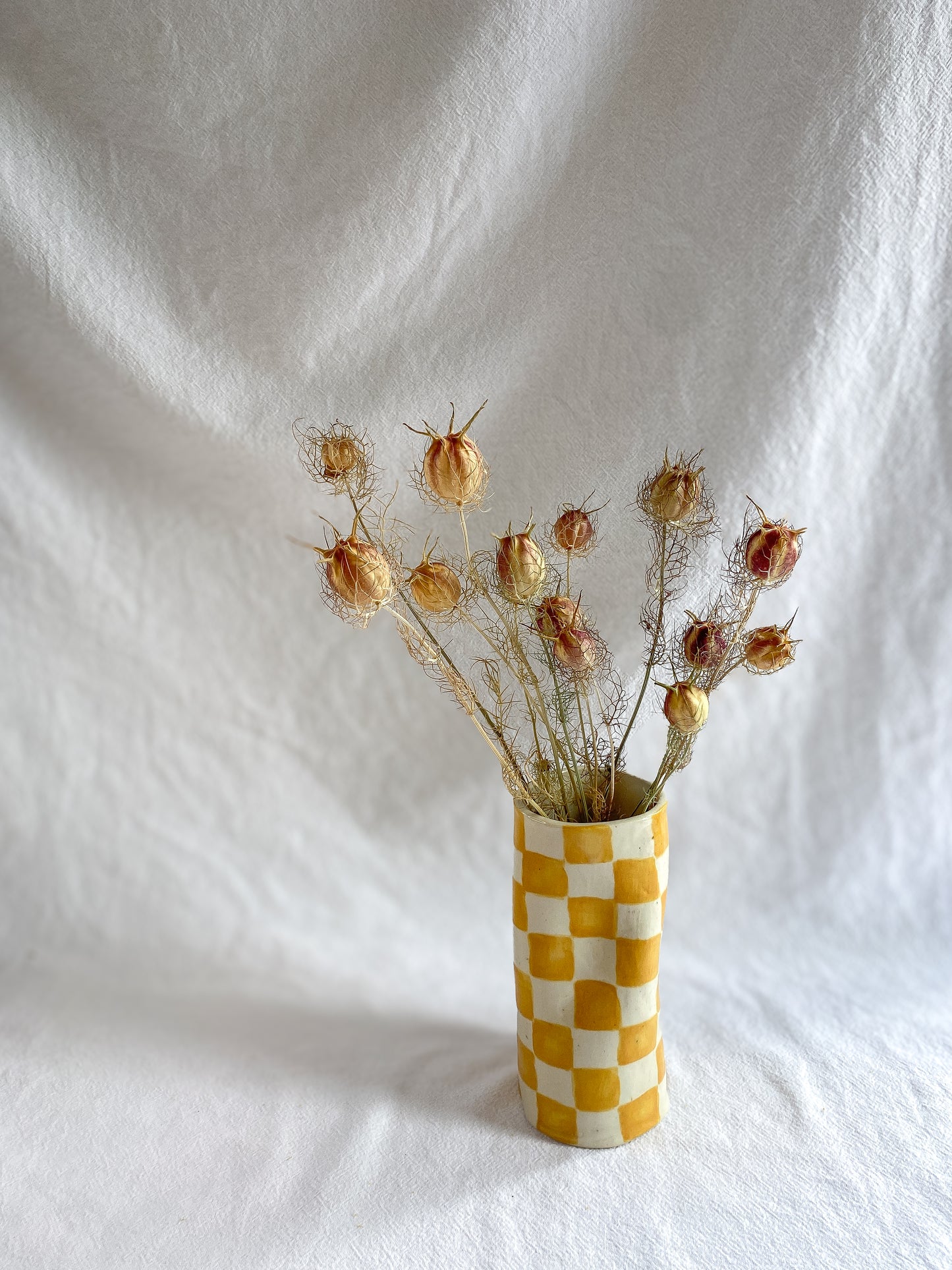 Dried Nigella pods