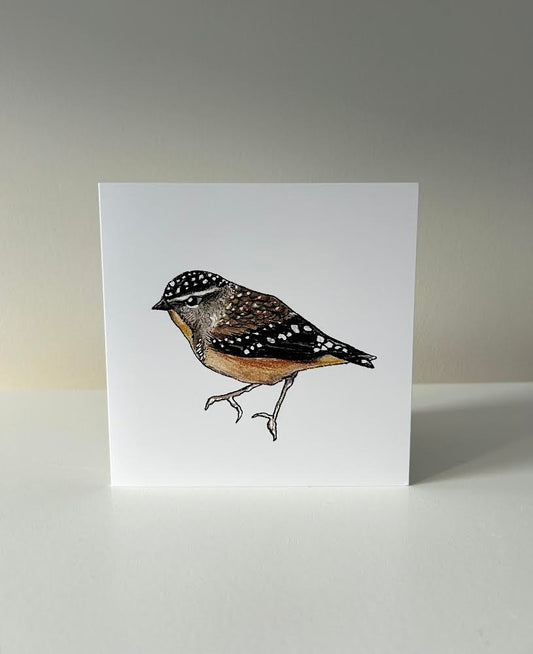 Forty Spotted Pardalote card