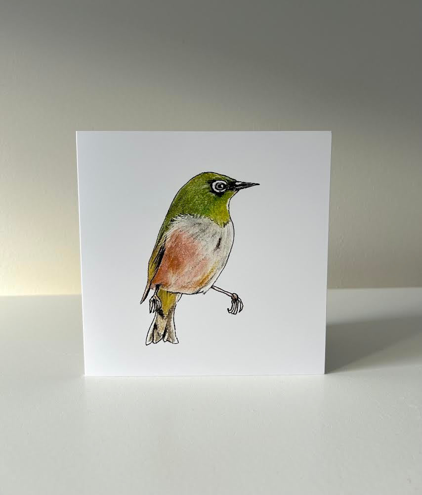 Silvereye Finch card