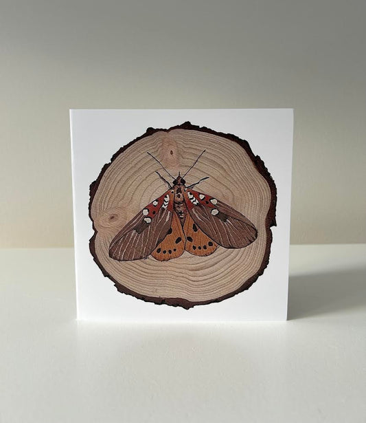 The Pollinators lll Moth card