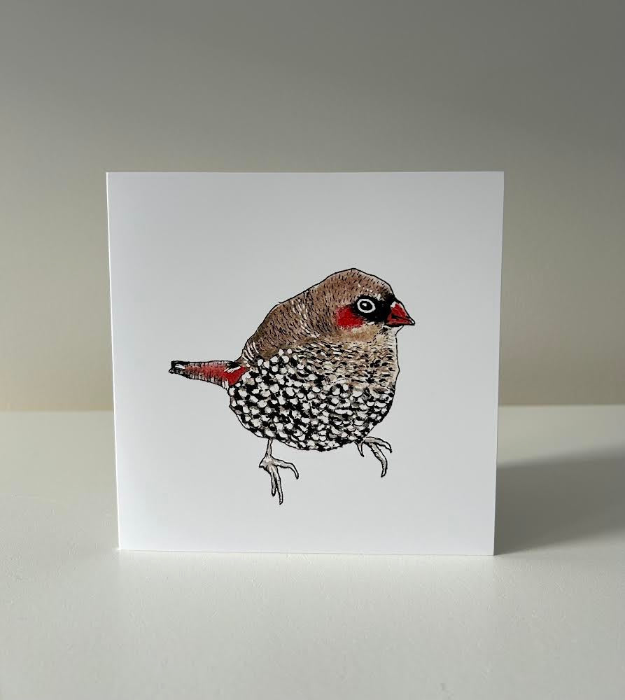 Firetail Finch card